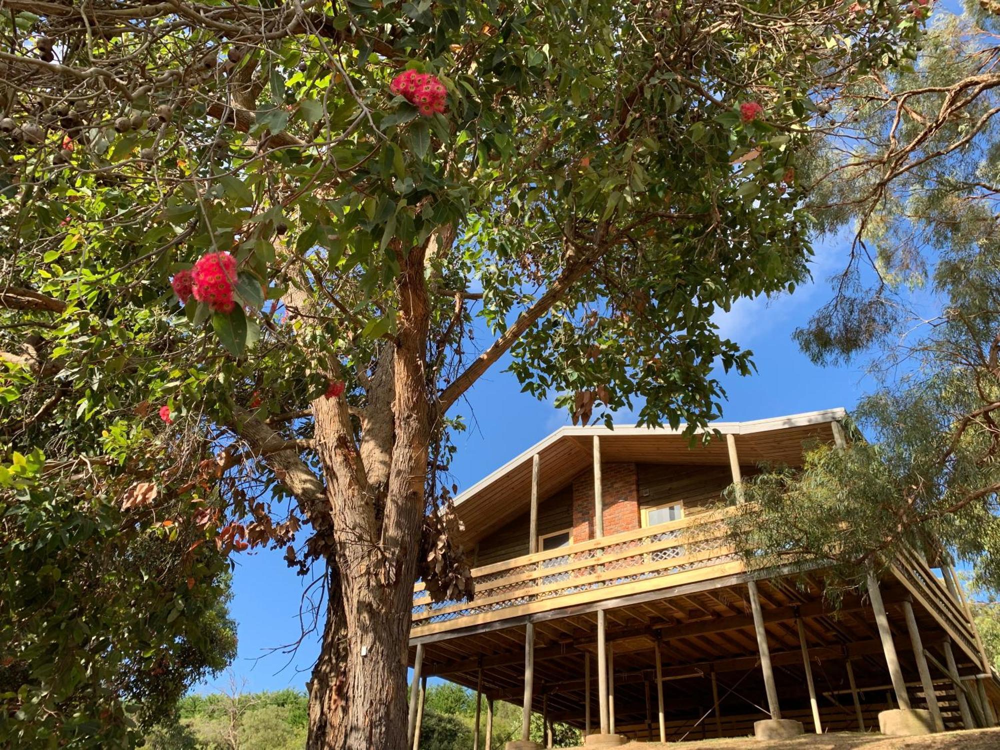 Iluka Retreat Glamping Village Red Hill South Екстер'єр фото